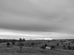 PAISAGEM RURAL EM PRETO E BRANCO.