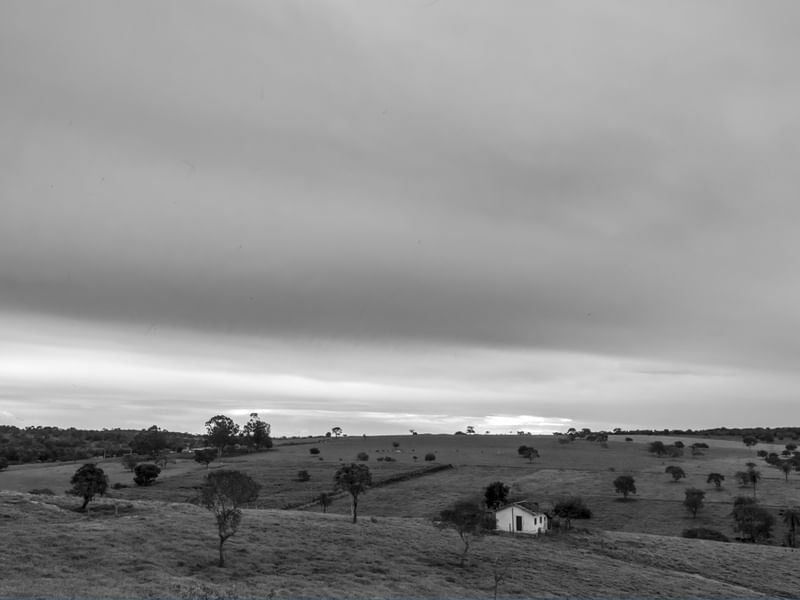 PAISAGEM RURAL EM PRETO E BRANCO.