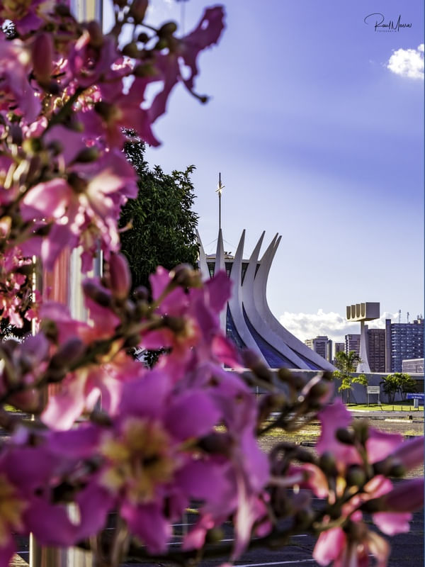 CATEDRAL DE BRASÍLIA VISTA ENTRE FLORES.