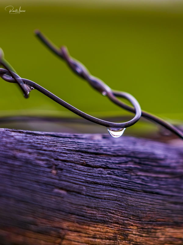 GOTA DE ORVALHO NO ARAME TORCIDO JUNTO A UM TRONCO DE MADEIRA