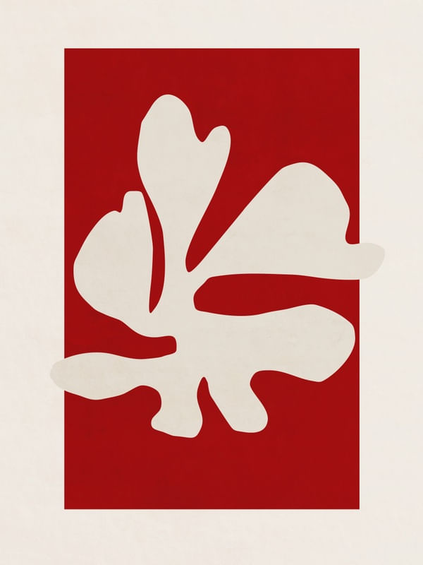 SNOW FLOWER - RED 01