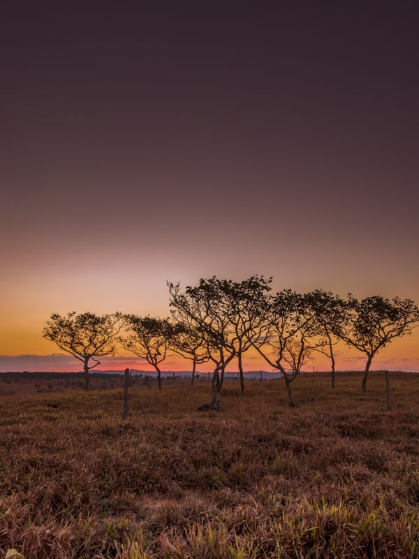 PAISAGEM CREPUSCULAR DO MÊS DE AGOSTO NO CERRADO EM MINAS GERAIS.