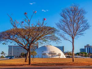 MUSEU NACIONAL DA REPÚBLICA VISTO ENTRE ÁRVORES