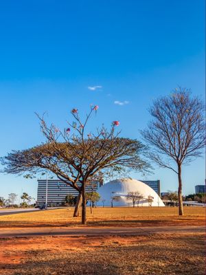 MUSEU NACIONAL DA REPÚBLICA VISTO ENTRE ÁRVORES 02