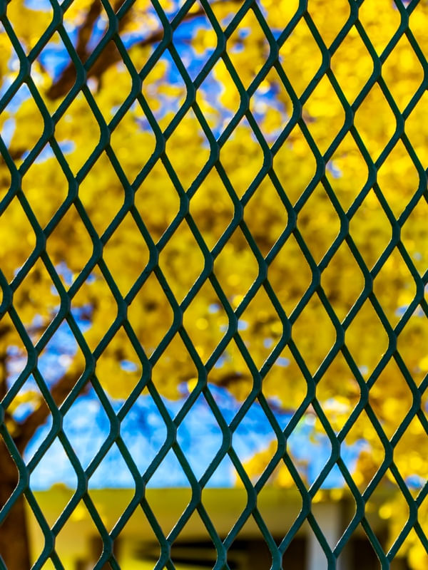 TELA ABSTRATO COLORIDO
