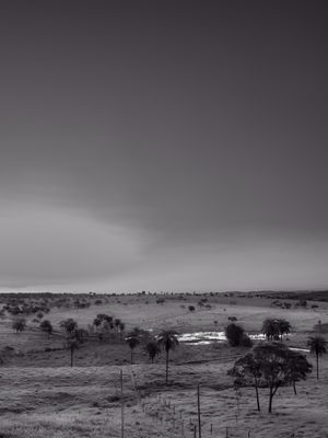 PAISAGEM RURAL EM PRETO E BRANCO 02