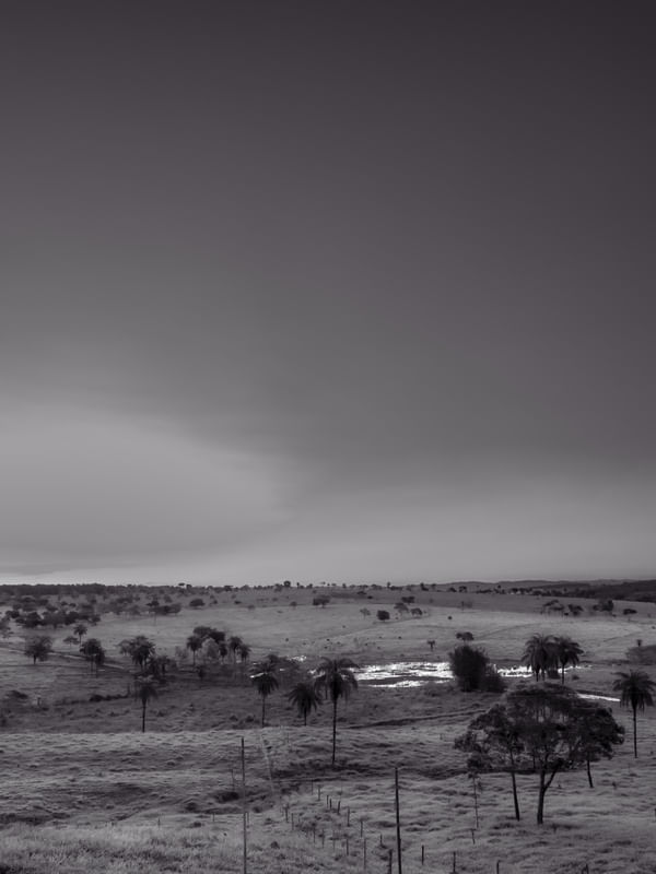 PAISAGEM RURAL EM PRETO E BRANCO 02