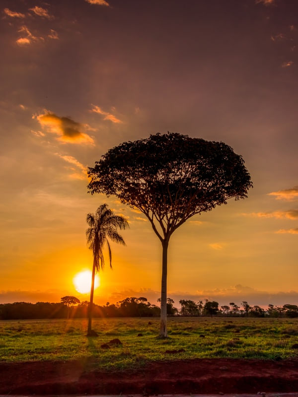 PÔR DO SOL NO CERRADO 02