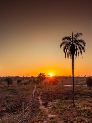 PÔR DO SOL SOBRE A MONTANHA NO CERRADO