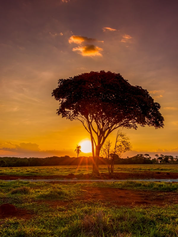 PÔR DO SOL NA ZONA RURAL