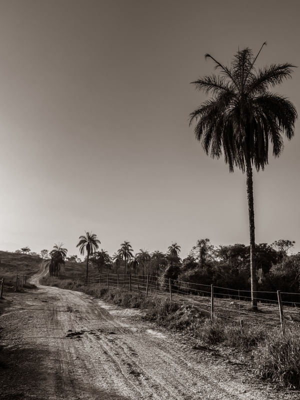 PAISAGEM RURAL EM PRETO E BRANCO - 03