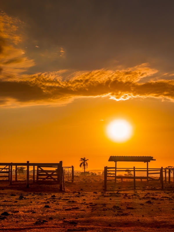 PAISAGEM RURAL COM O NASCER DO SOL