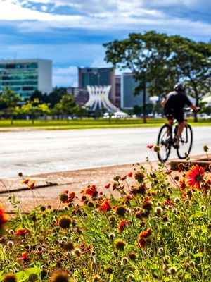BRASÍLIA COLORIDA