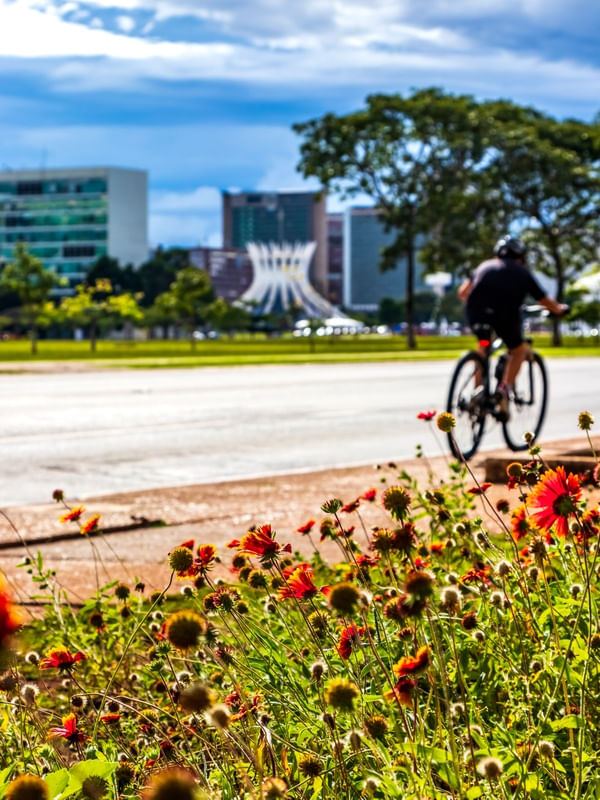 BRASÍLIA COLORIDA