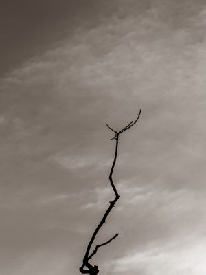 MINIMALISMO 02