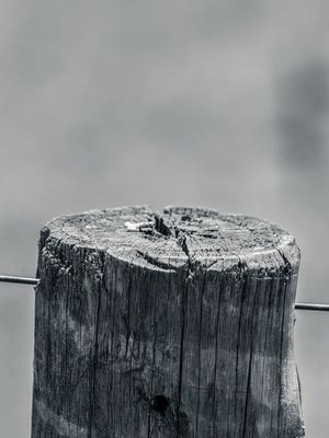 ESTACA DE MADEIRA