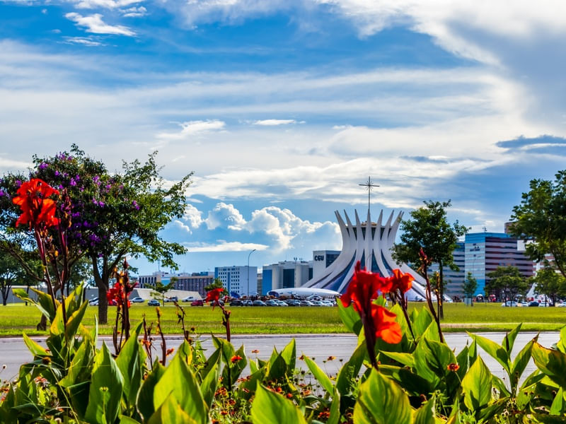 CATEDRAL DE BRASÍLIA E AS FLORES DA ESPLANADA