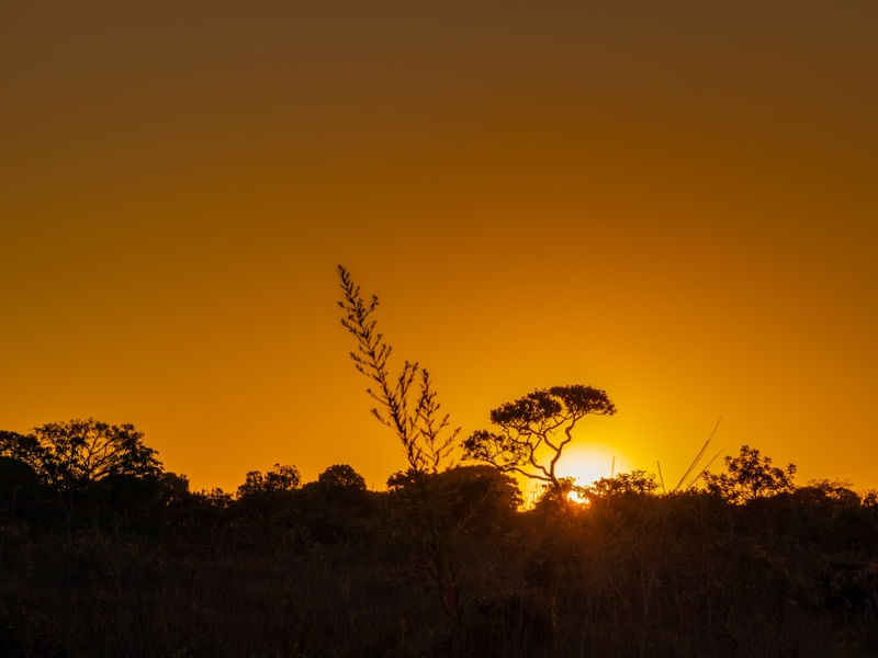 LINDO PÔR DO SOL NO CERRADO