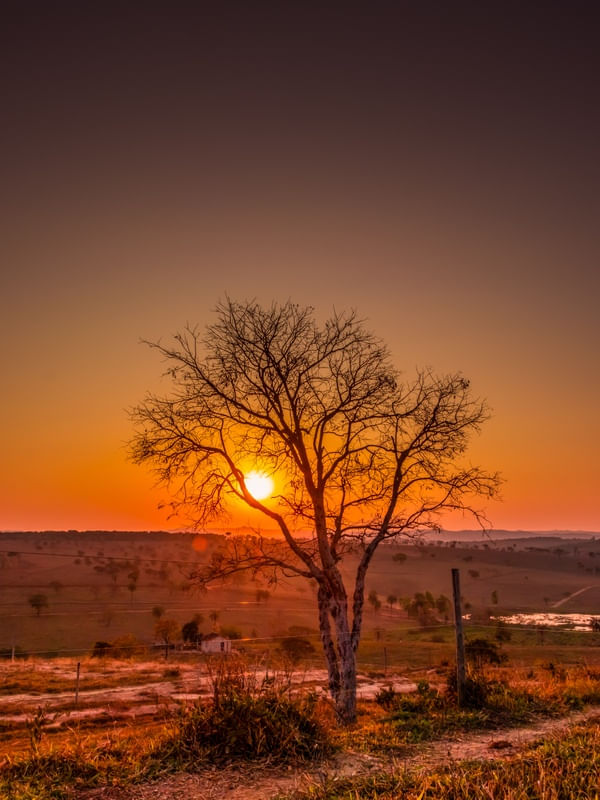 PAISAGEM RURAL AO PÔR DO SOL