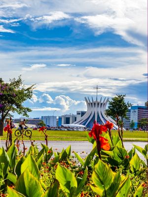 CATEDRAL DE BRASÍLIA COM FLORES DOS CANTEIROS