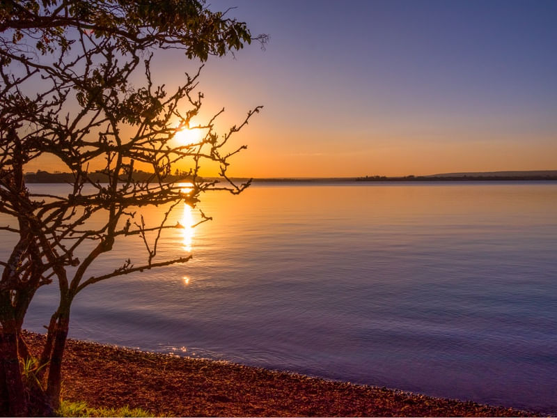 PÔR DO SOL ENTRE GALHOS NO LAGO