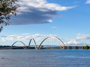 PONTE JK COM GALHOS E FOLHAS VERDES NO CANTO DA IMAGEM