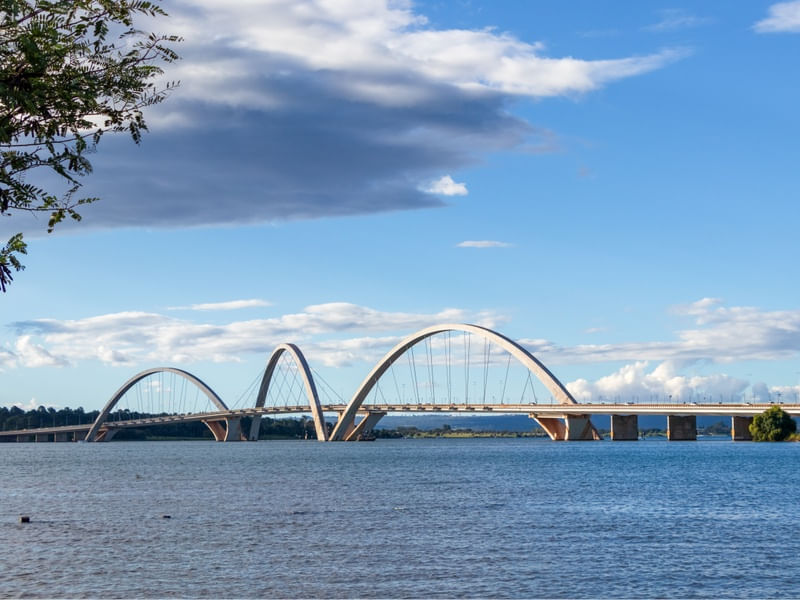 PONTE JK COM GALHOS E FOLHAS VERDES NO CANTO DA IMAGEM
