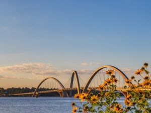 PONTE JK COM FLORES DO CERRADO