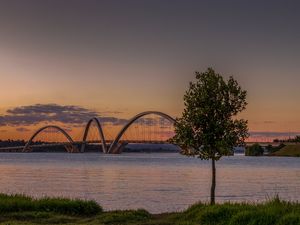 PONTE JK AO ANOITECER COM UMA ÁRVORE EM DESTAQUE