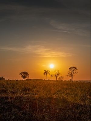 PÔR DO SOL ALARANJADO NO CAMPO