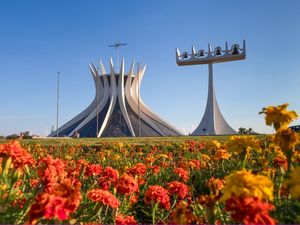 CATEDRAL DE BRASÍLIA COM FLORES