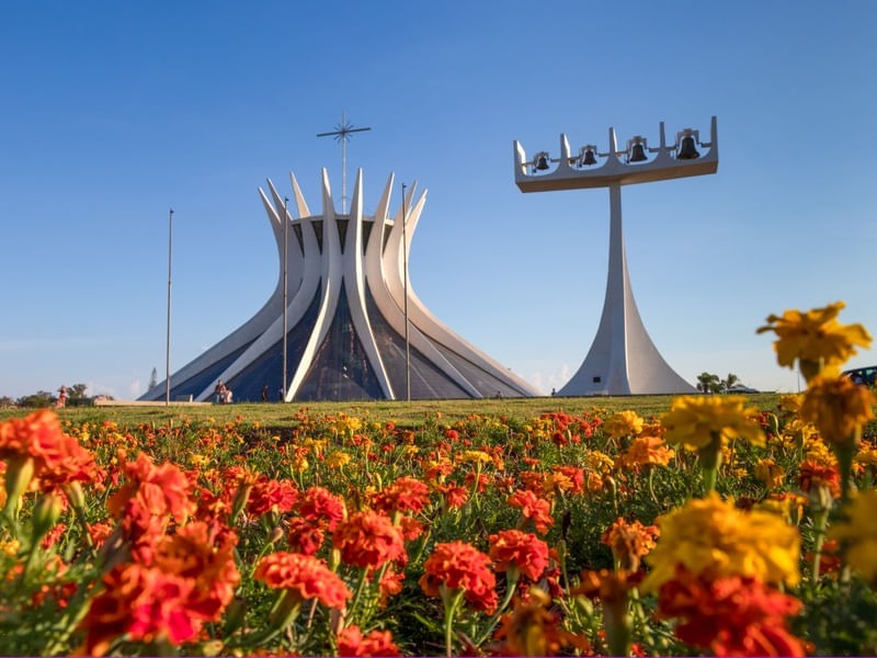 CATEDRAL DE BRASÍLIA COM FLORES