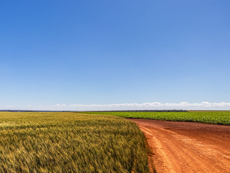 CAMPO E ESTRADA DE TERRA