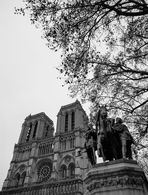 A FÊNIX DE NOTRE-DAME