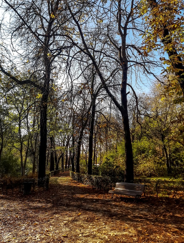 UMA TARDE NO PARQUE DEL RETIRO