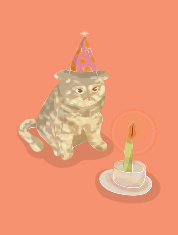GATO ANIVERSÁRIO