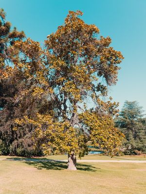O CALOR DO JARDIM