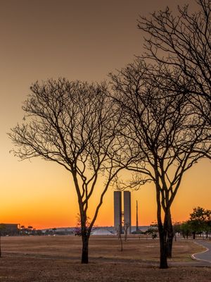 CONGRESSO NACIONAL ENTRE AS ÁRVORES SECAS DA ESPLANADA