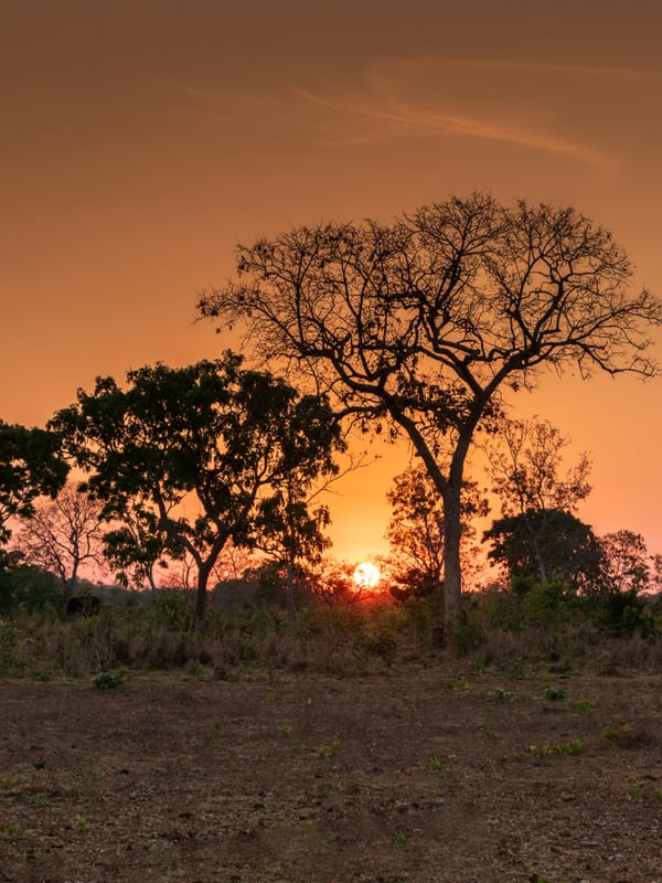 PÔR DO SOL ALARANJADO NO CERRADO 02