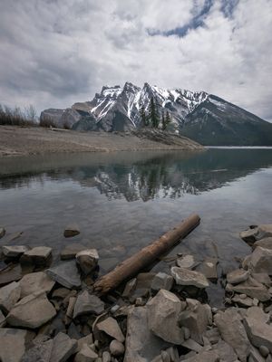 O TRONCO NO LAGO MINNEWANKA
