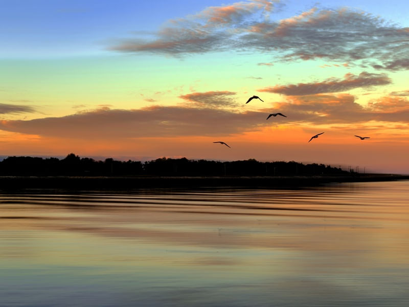 POR DO SOL ESPECIAL