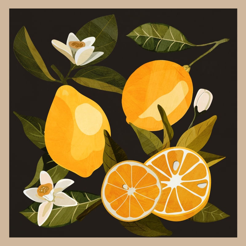 LEMONS BOTANICAL ART