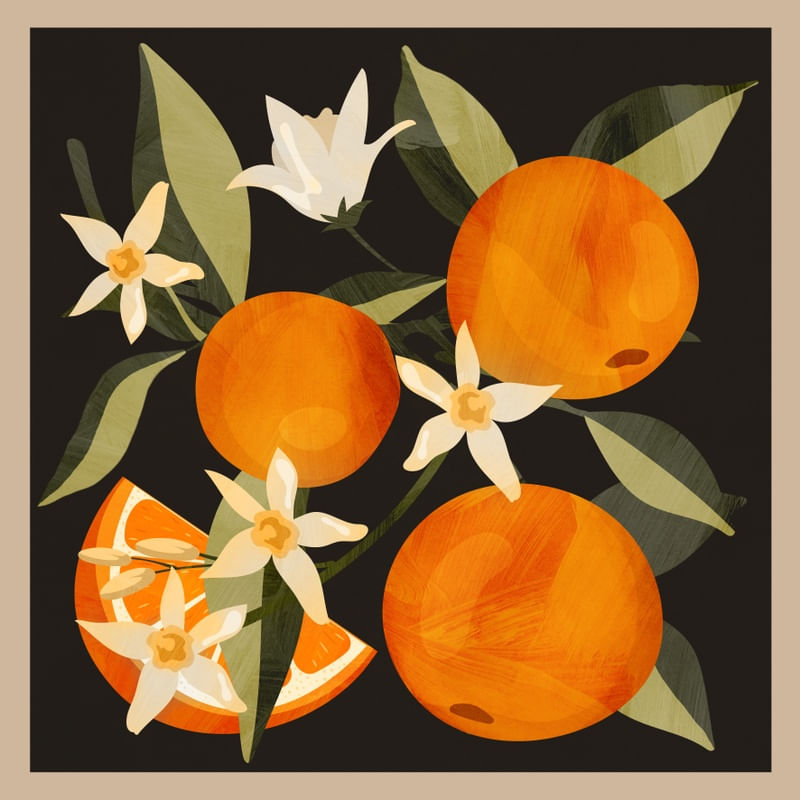 ORANGES BOTANICAL ART