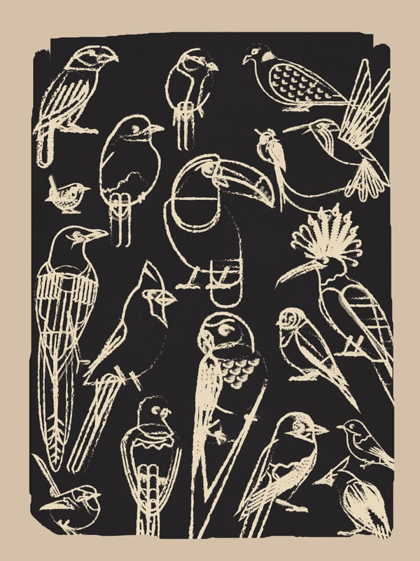 MINIMALIST BIRDS LINE ART 1