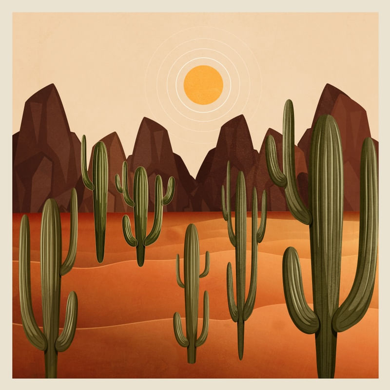 MODERN DESERT ART 1
