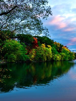 PARQUE EM BOSTON 2