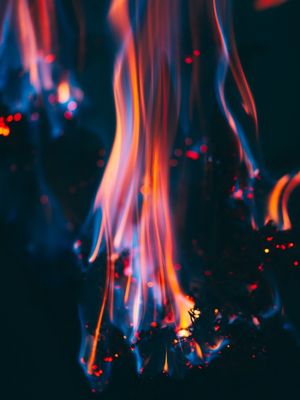 FIRES OF NATURE