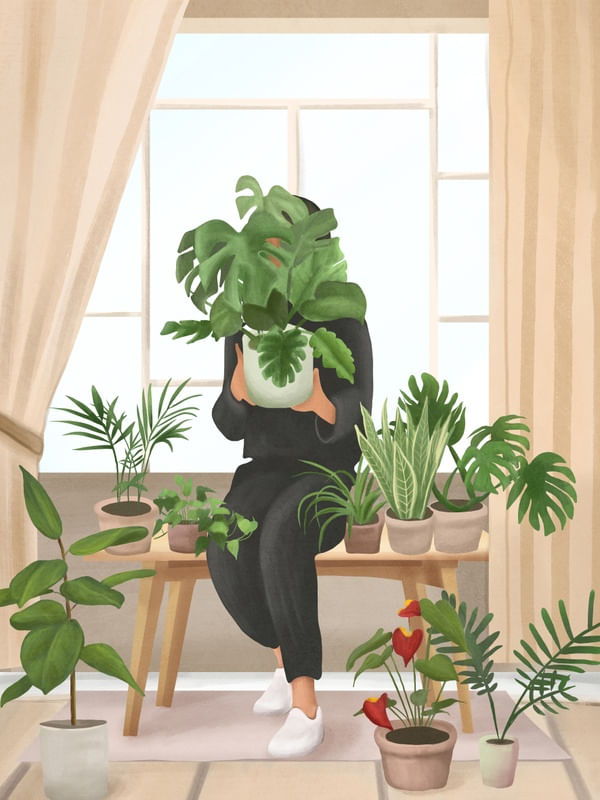 MY LITTLE GARDEN II