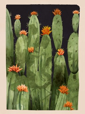 BLOOMING CACTUS 2