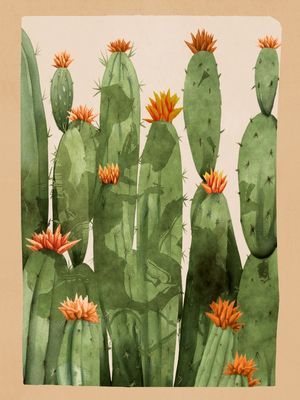 BLOOMING CACTUS 1